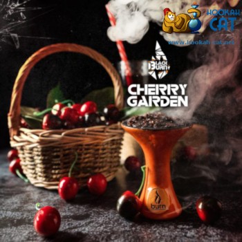 Табак для кальяна BlackBurn Cherry Garden (БлэкБерн Черешневый Сок) 100г - фото 1